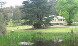 Spring in the Dandenongs at Warley Cottages